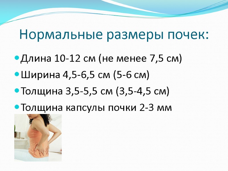 Нормальные размеры почек: Длина 10-12 см (не менее 7,5 см) Ширина 4,5-6,5 см (5-6
